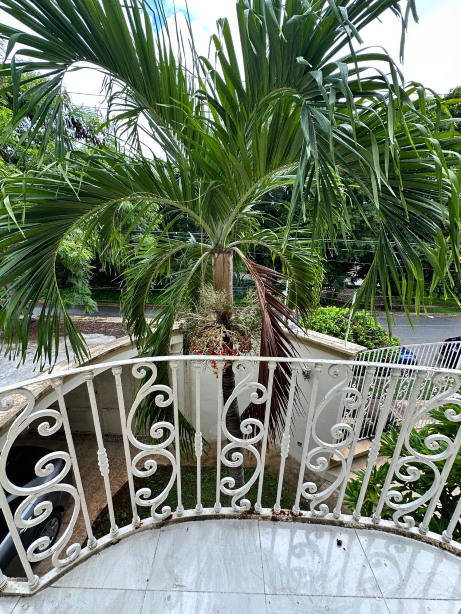 Casa Sasha'S Mini Palace Cancun Luaran gambar